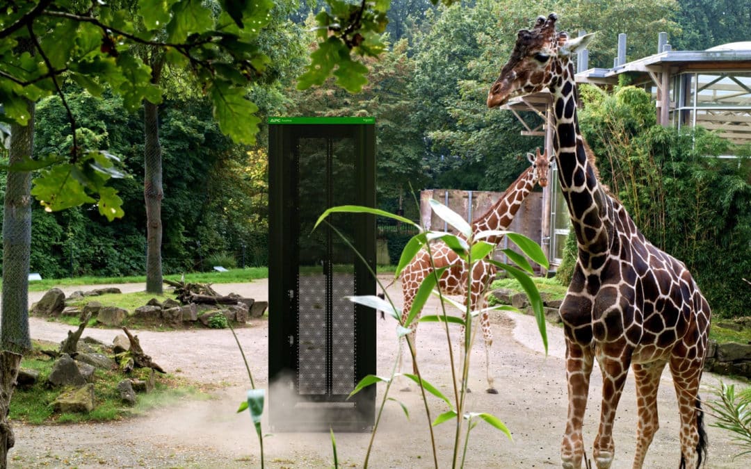 APC Rack – Werbeclip im Zoo